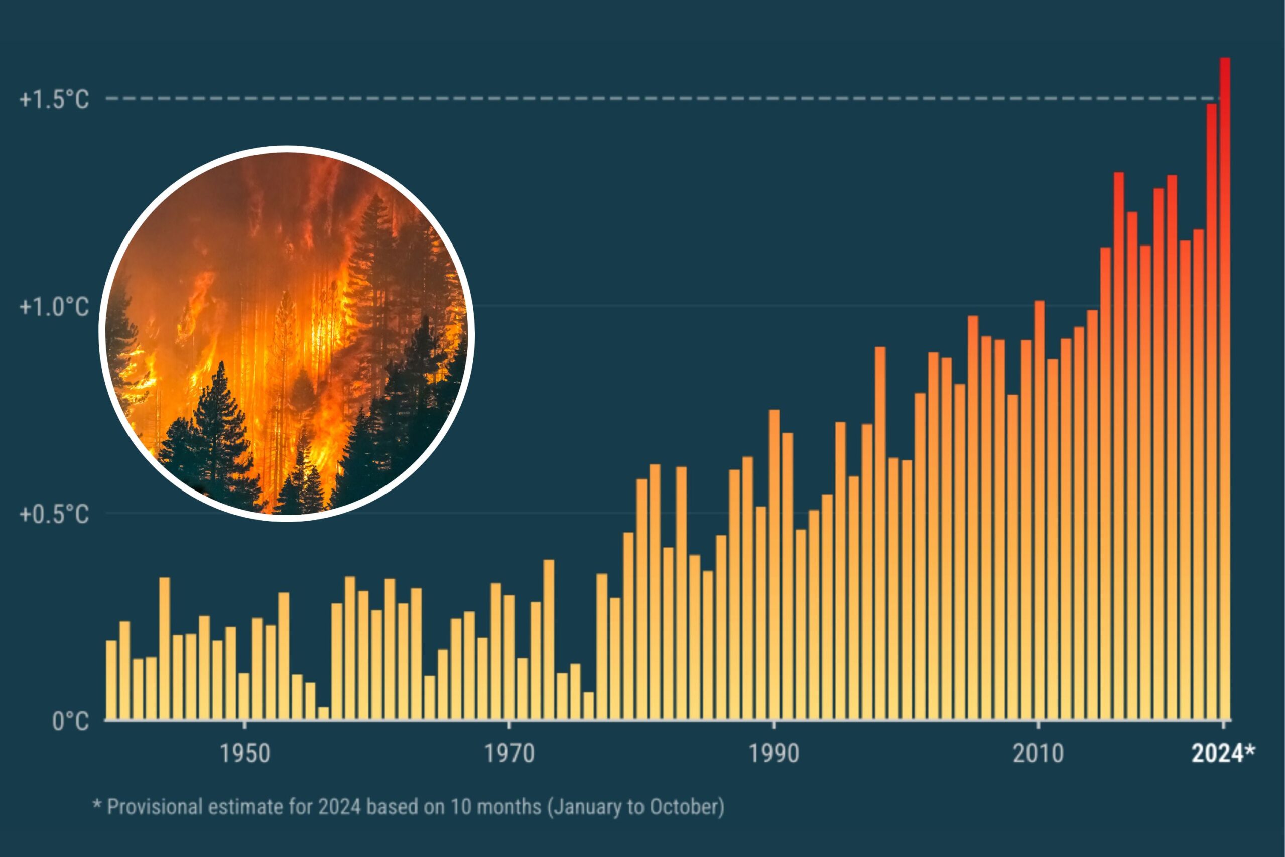 hottest year ever
