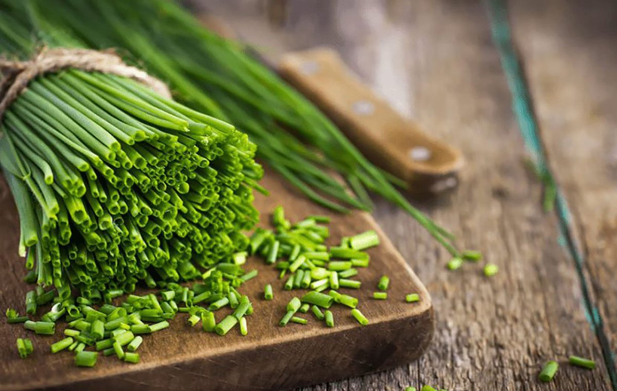 خواص تره کوهی