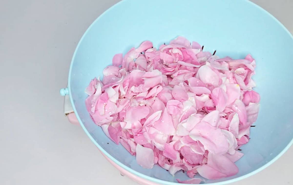 خیساندن و آبکش کردن گل محمدی برای تهیه شربت