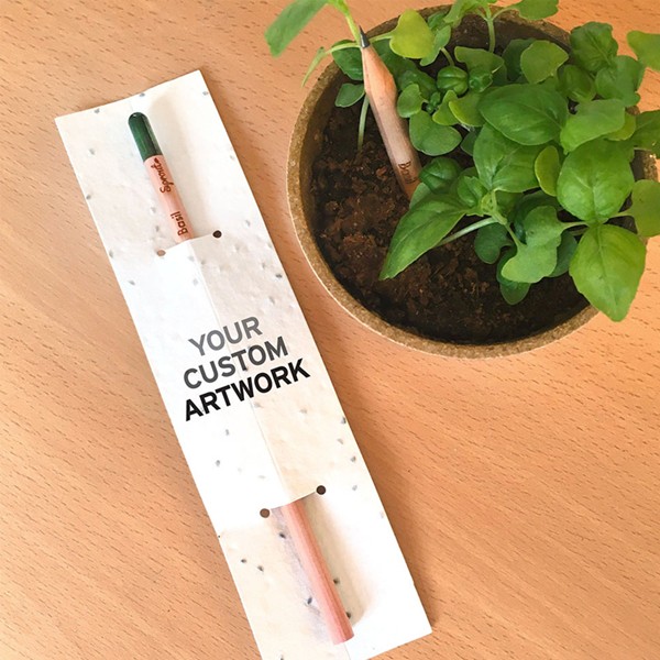 مداد کاشتنی Sprout Pencil
