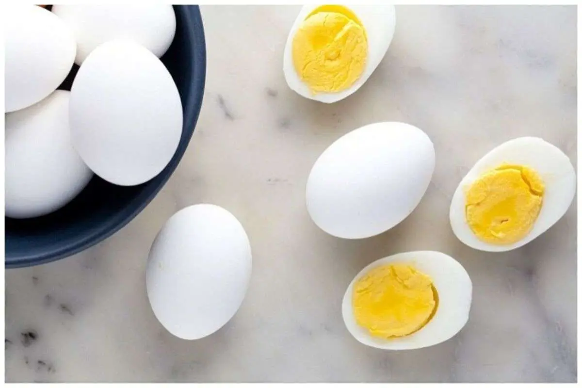 مصرف تخم مرغ در سالمندان باعث چرب شدن کبد می‌شود؟