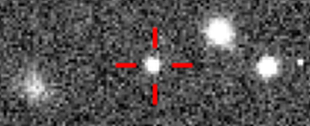 cfht tno discovery