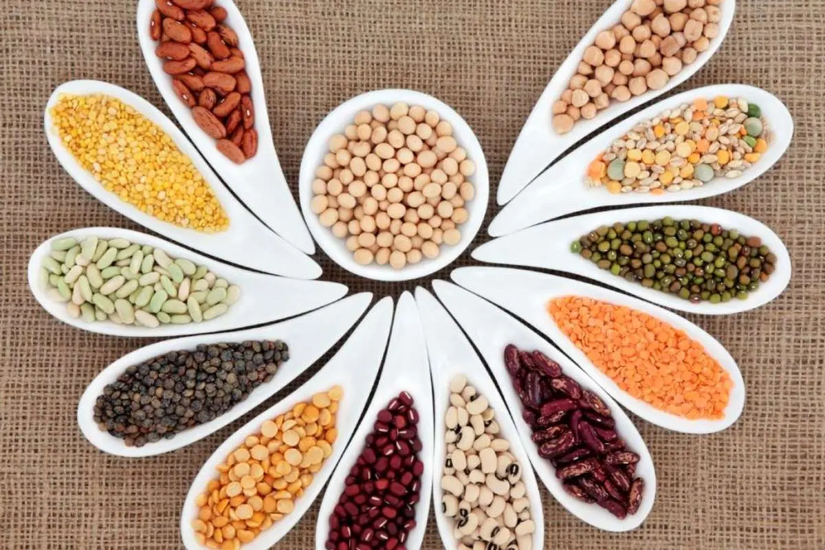 قیمت مصوب حبوبات وارداتی اعلام شد
