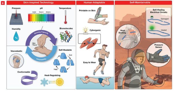 پوست الکترونیکی خود ترمیم شونده