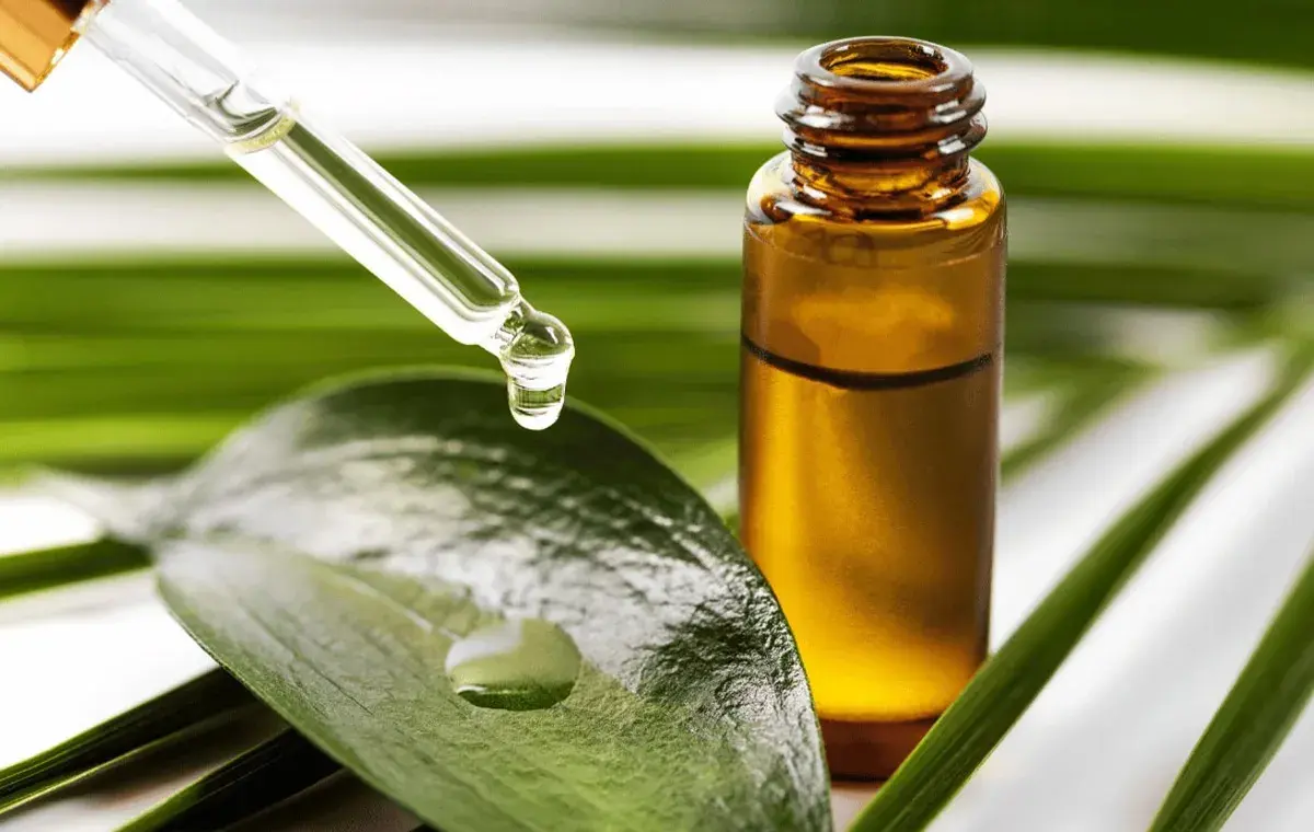 روغن درخت چای جزو قویترین داروی ضد شپش خانگی