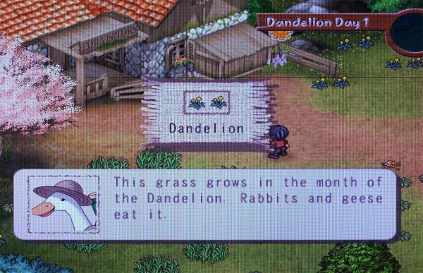 گران ترین بازی های قدیمی جهان