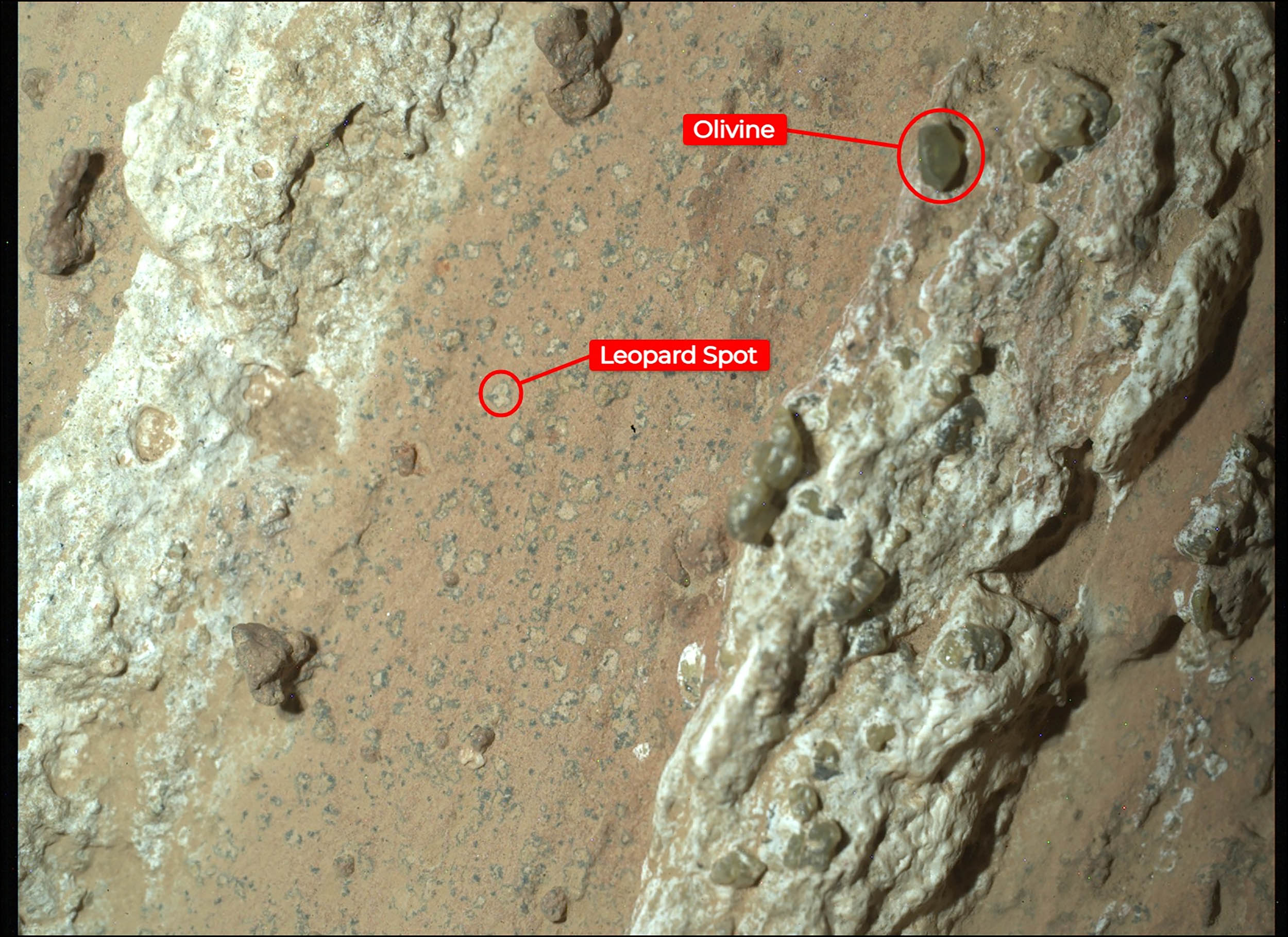 mars life olivine leopard spot Cheyava Falls Perseverance rover NASA big