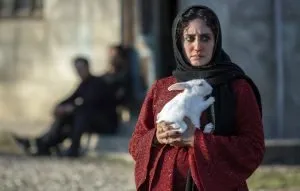 نقد فیلم تی‌تی؛ تو که به ابرای سیاهی و به بادهای بدی می‌خندی