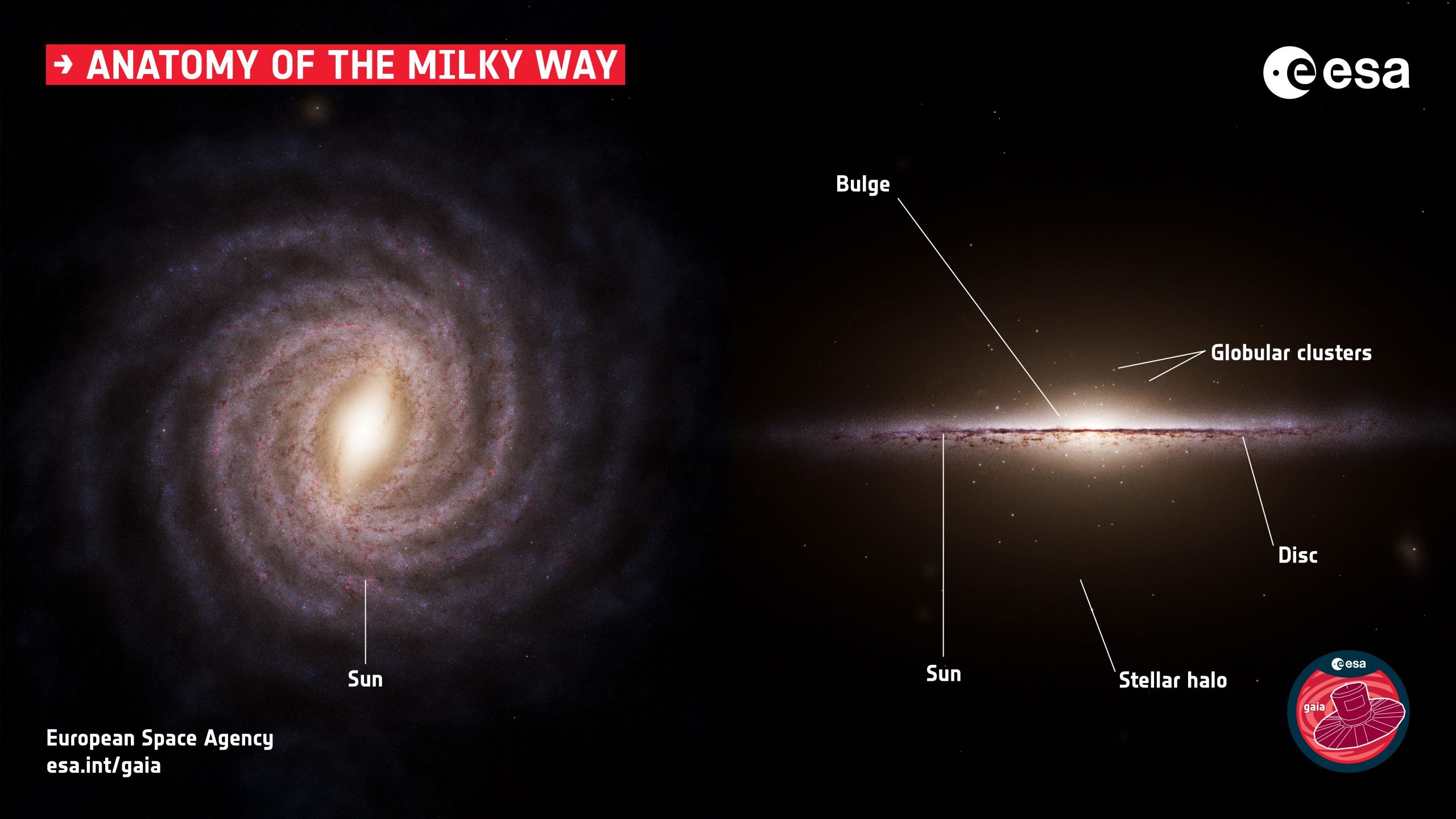 Anatomy of the Milky Way scaled
