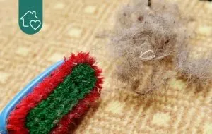 ترفندهای موثر برای جمع کردن موها از روی فرش و موکت