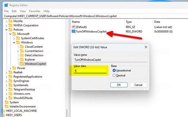 حذف کوپایلت از ویندوز 11