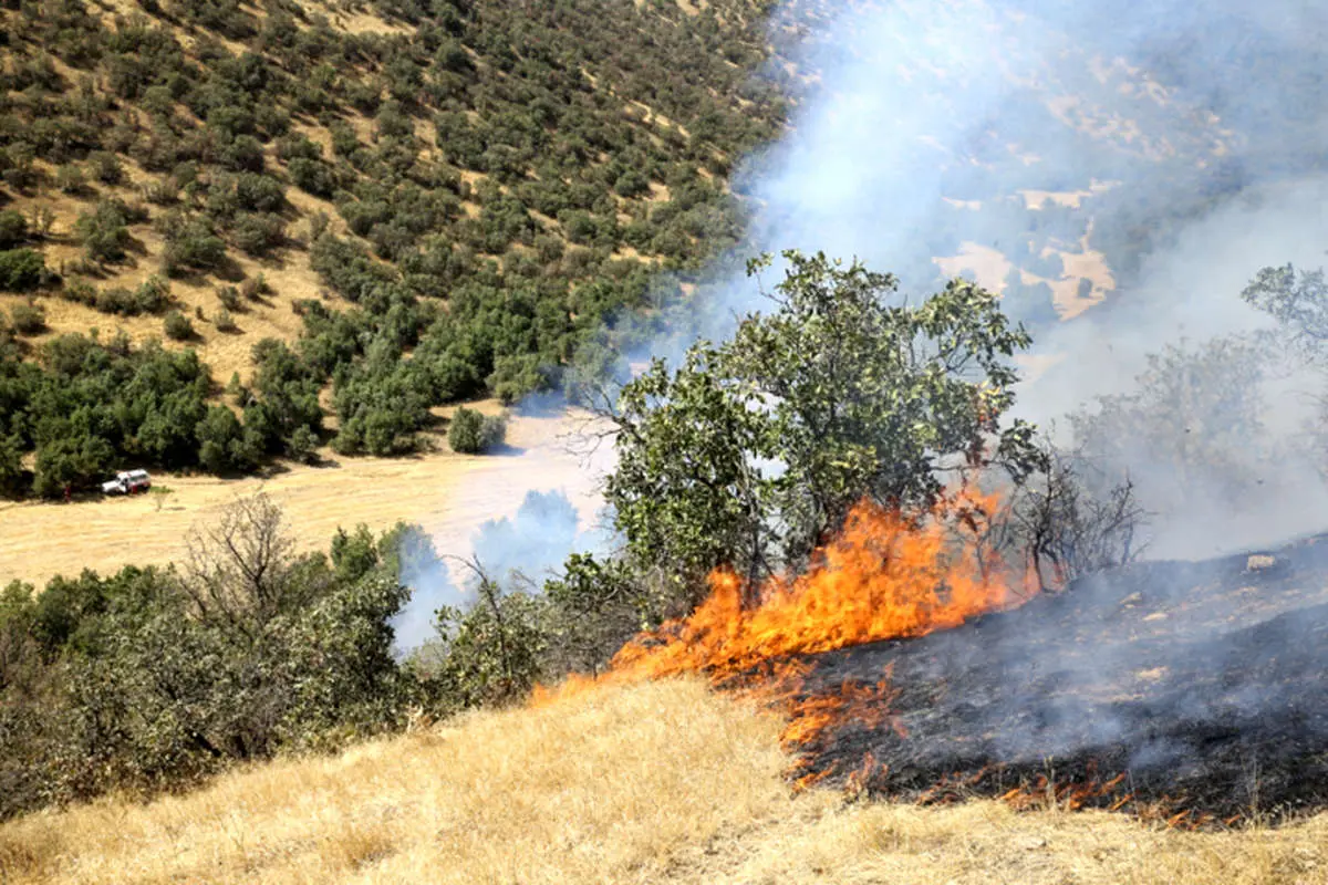 قله دماوند در آتش
