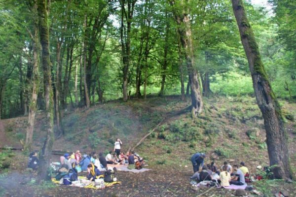 بلیط اتوبوس لنگرود به تهران با علی بابا: راهنمای رزرو فوری بلیط اتوبوس لنگرود به تهران با علی بابا