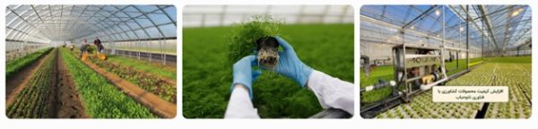 نانوحباب در کشاورزی