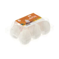 تخم مرغ گرید B تلاونگ بسته 6 عددی