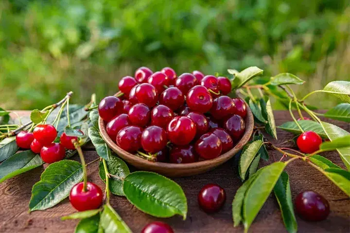 شستن آلبالوها