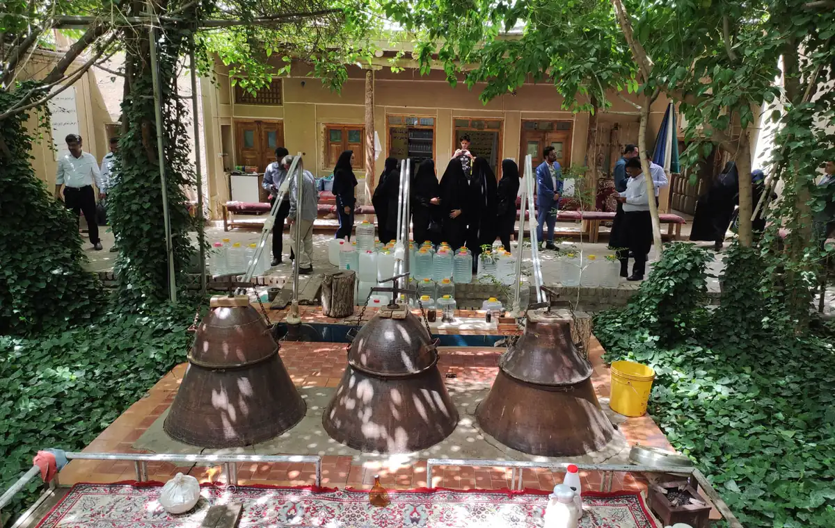 مراسم گلاب‌گیری در قمصر کاشان