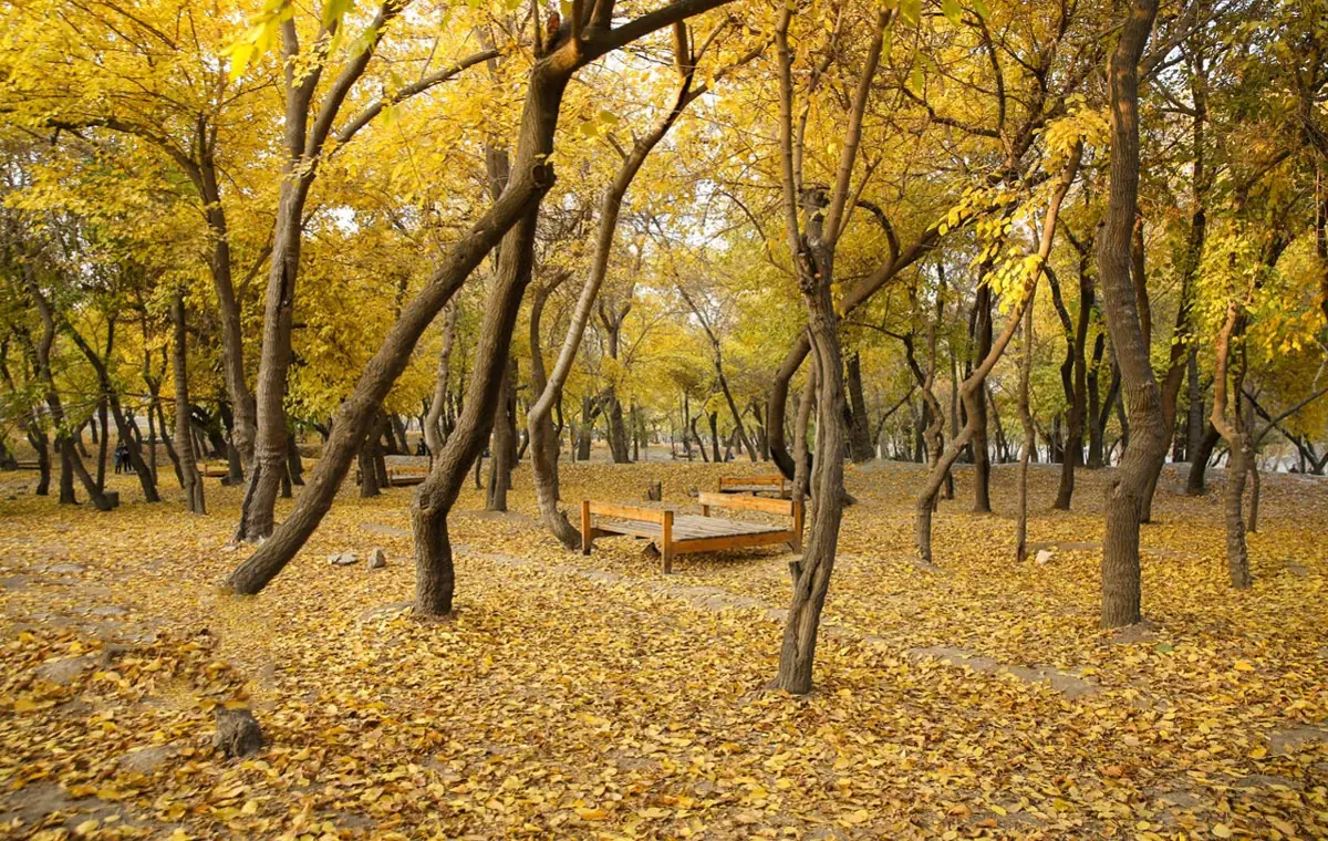 پارک وکیل‌آباد