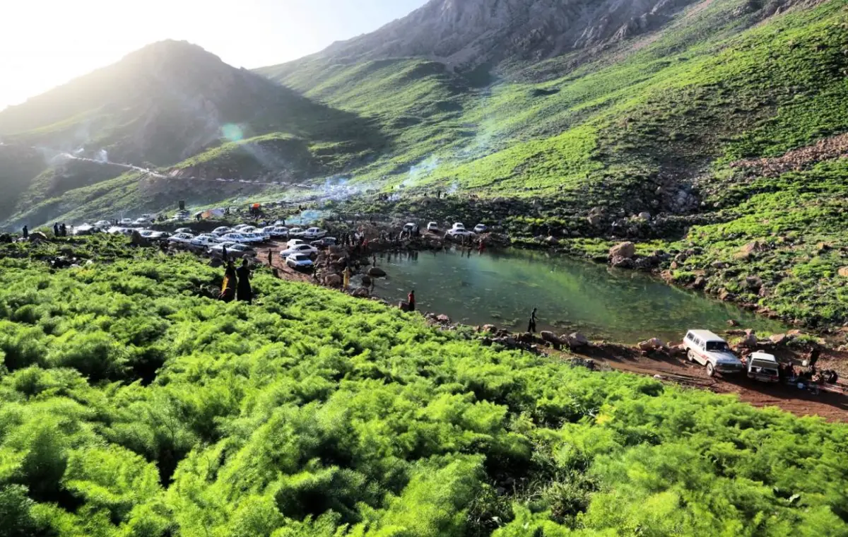 پاوه