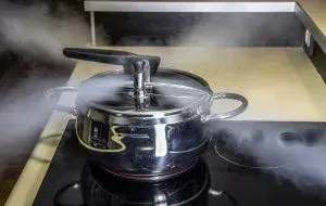 زودپز برقی یا گازی؛ کدام یک برای آشپزخانه شما مناسب‌تر است؟