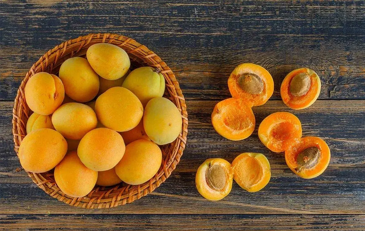 ابزار و مواد لازم برای تهیه کمپوت زردآلو، آموزش مرحله به مرحله پخت، روش شیشه‌ای با ماندگاری بالا، نسخه فوری در قابلمه و نکات مهم برای خوشمزه‌تر شدن و نگهداری درست را در این مطلب می‌خوانید